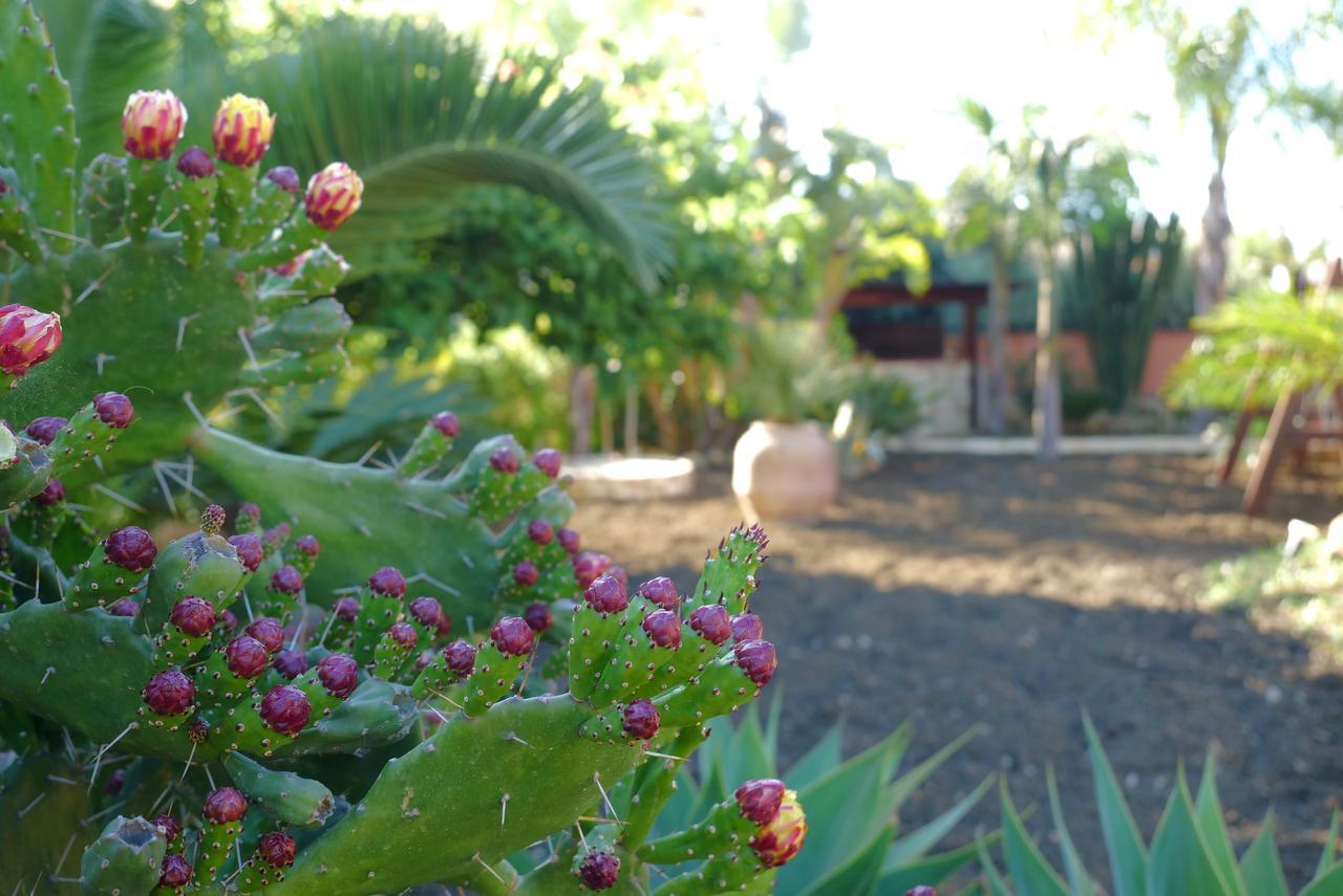 B&B Templi E Arte Villaggio Mose  Luaran gambar