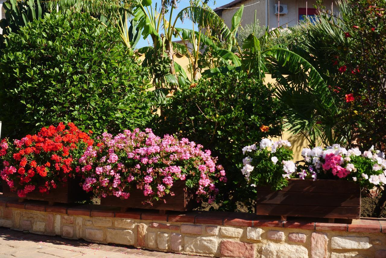 B&B Templi E Arte Villaggio Mose  Luaran gambar